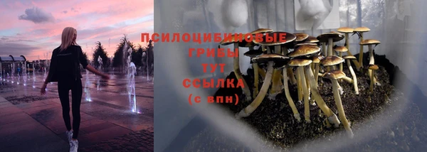 стаф Кулебаки