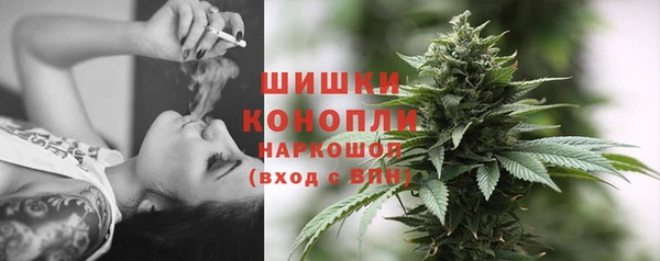 стаф Кулебаки