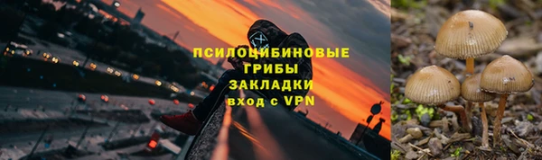 марки lsd Лагань