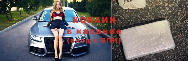 стаф Кулебаки