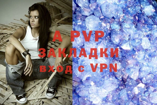 стаф Кулебаки