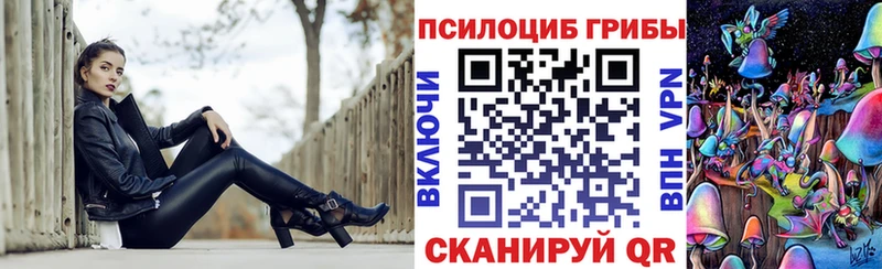 Купить закладки  Пугачёв  Галлюциногенные грибы прущие грибы 